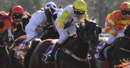 Belmont Preview 24th August